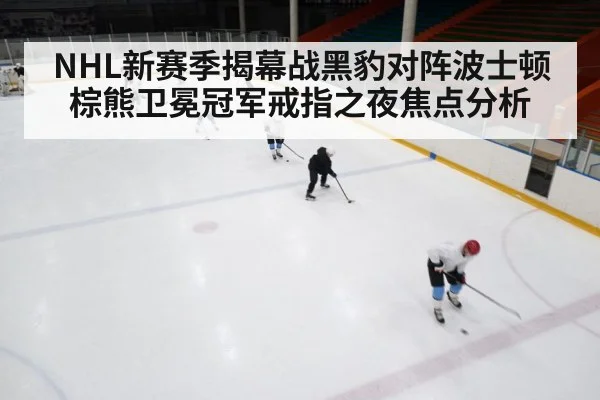 ice hockey rink