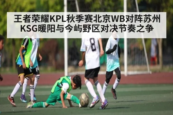 王者荣耀KPL秋季赛北京WB对阵苏州KSG暖阳与今屿野区对决节奏之争 | kaiyun